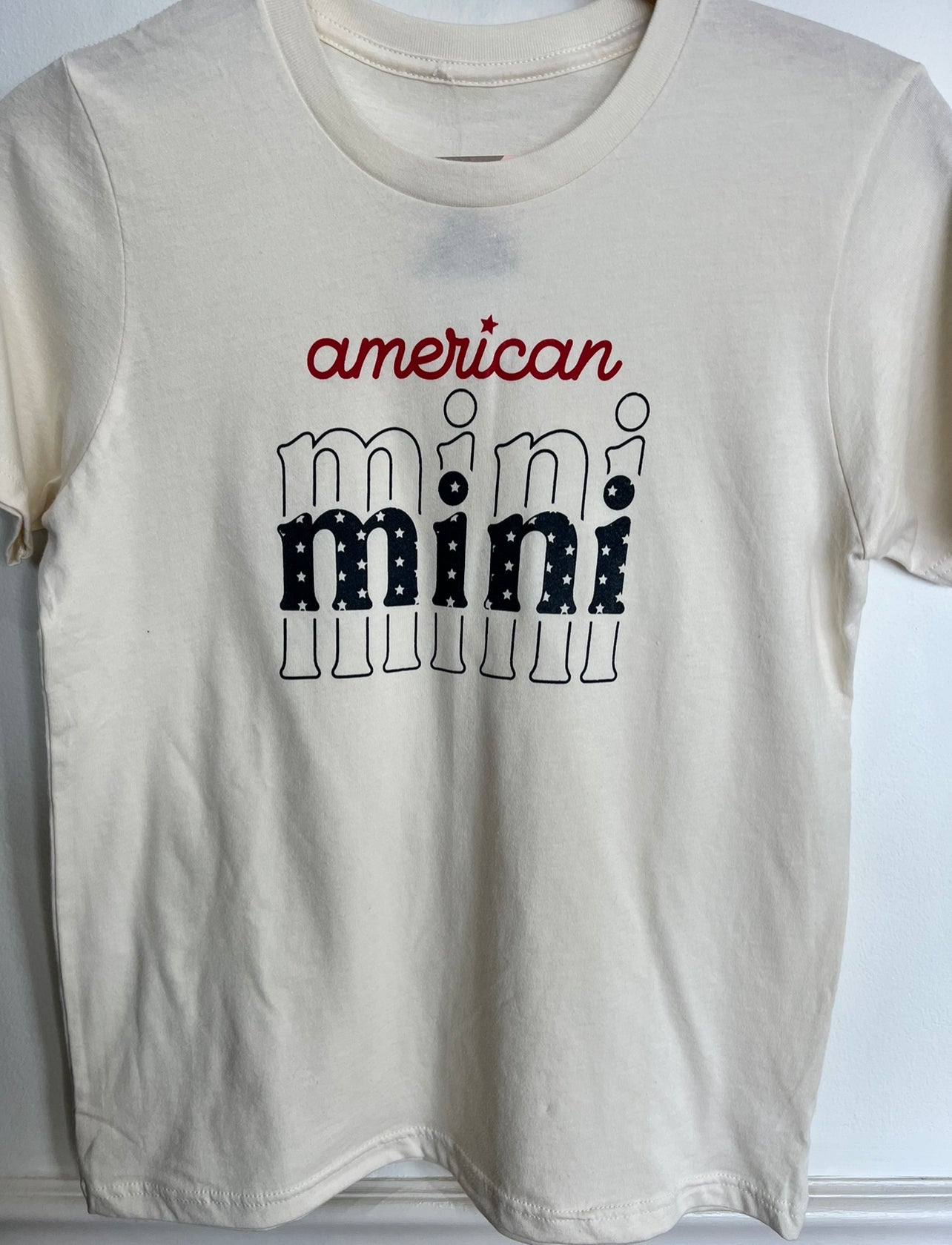 American Mini